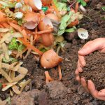 Why You Should Add Mycorrhizae To Your Soil – Stronger Roots & Healthier Plants