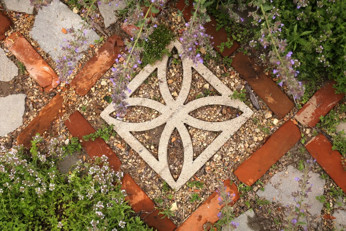 thyme growing around brick pavers