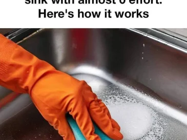 stainless steel sink cleaning trick