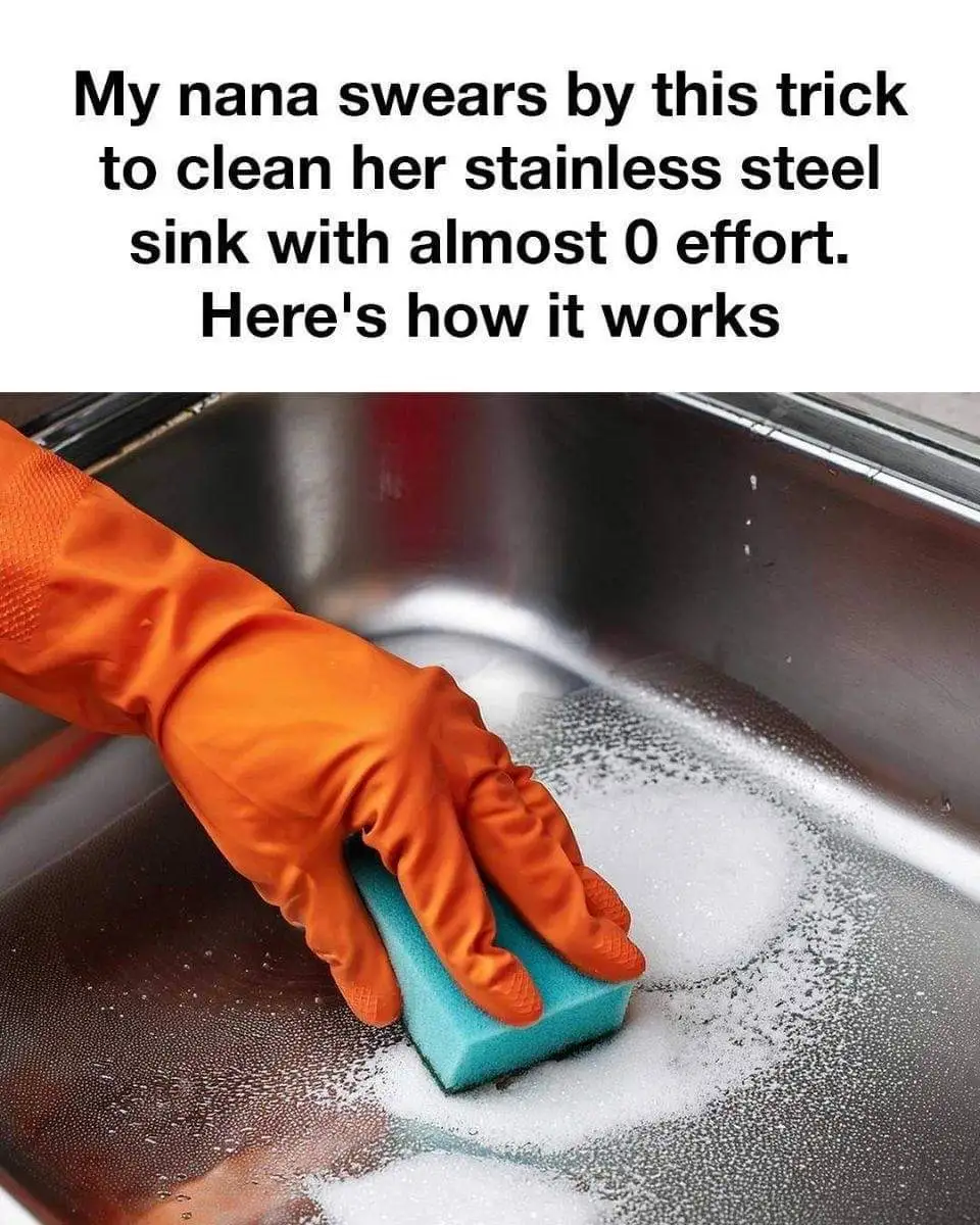 stainless steel sink cleaning trick