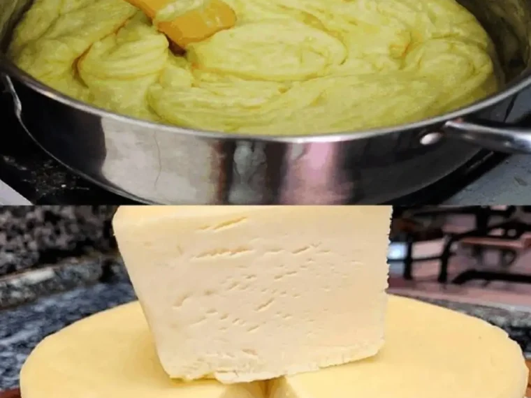 Homemade Cheese Recipe